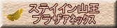 ステイイン山王 プラザｱﾈｯｸｽ